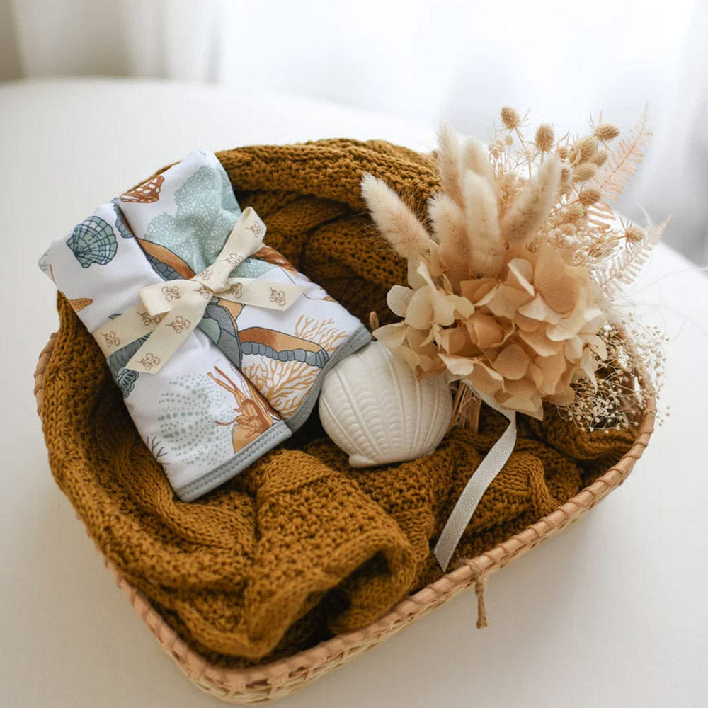 Luna's Treasures Bath Towels & Washcloths Premium Bamboo Wash Cloth Set (2PK): Nautilus