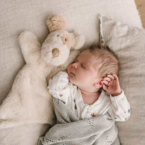 Nana Huchy Toys Comforter : Buddy the Dog