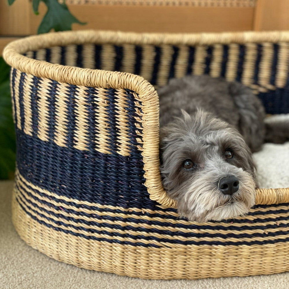 Adinkra Designs Dog Beds Bolga Dog Bed : Aztec Stripe